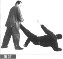 图片21
