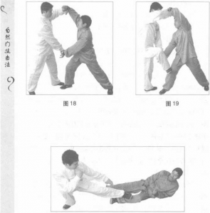 图片12