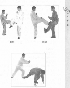 图片21
