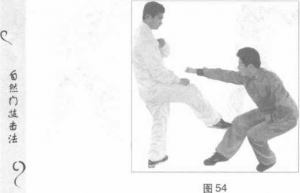 图片32