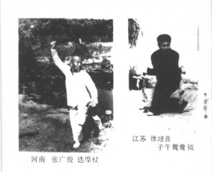 图片6