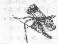 图片8
