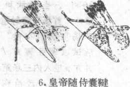 图片9