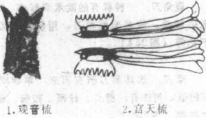 图片40