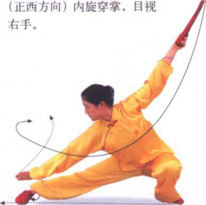 图片30