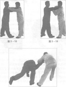 图片30