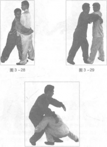 图片31