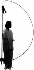 图片15