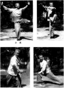 图片11