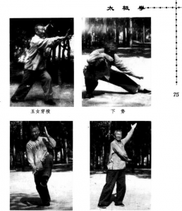 图片16