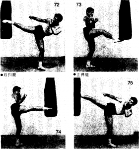 图片17