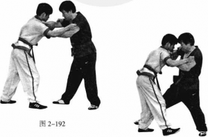 图片106