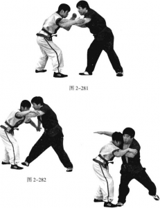 图片147