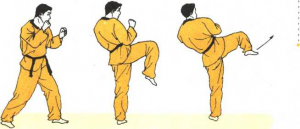 图片10
