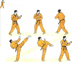 图片17