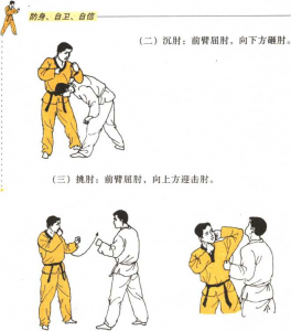 图片19