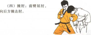 图片20