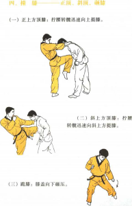 图片21