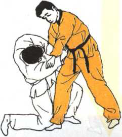 图片12