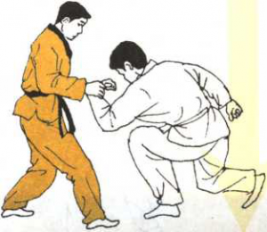 图片17