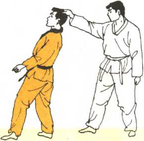 图片22