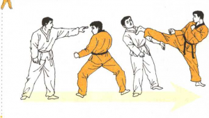 图片30