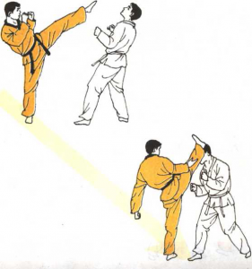 图片102