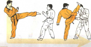 图片156