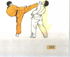 图片180