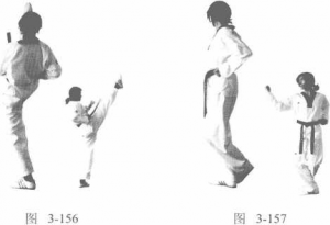 图片236