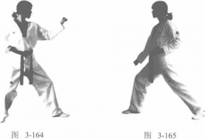 图片238