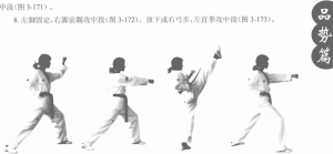 图片240