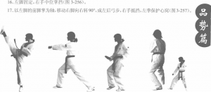图片277