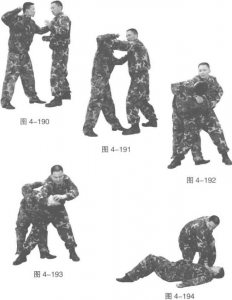 图片120