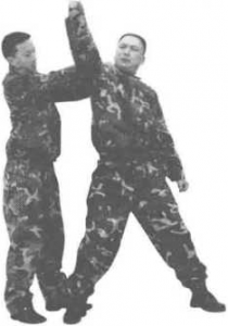 图片5