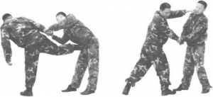 图片8