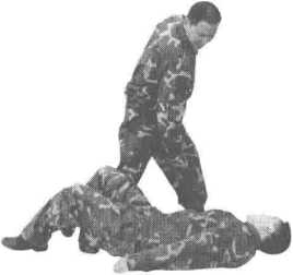图片11