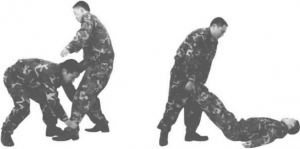图片19