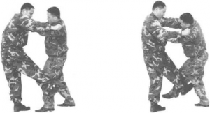 图片24