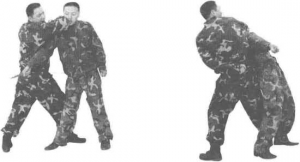 图片35