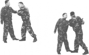 图片44