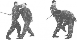 图片55