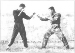 图片6
