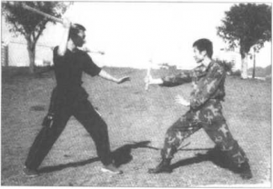 图片21