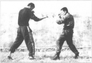 图片26