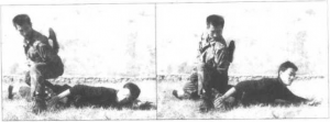 图片34
