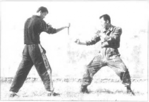 图片38
