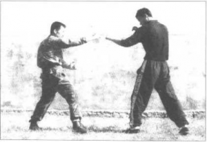 图片6