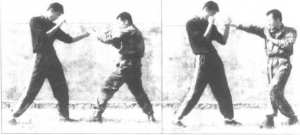 图片11