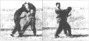 图片22